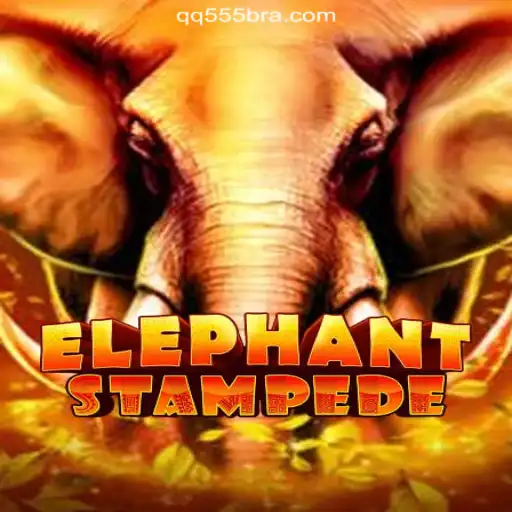 QQ555.COM platform-online Slots Brasil #1 Cockfighting